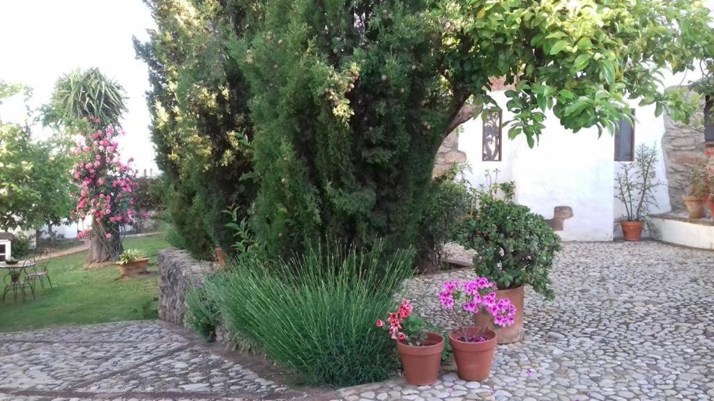 Villa Casas De Almajar Prado Del Rey Exterior foto